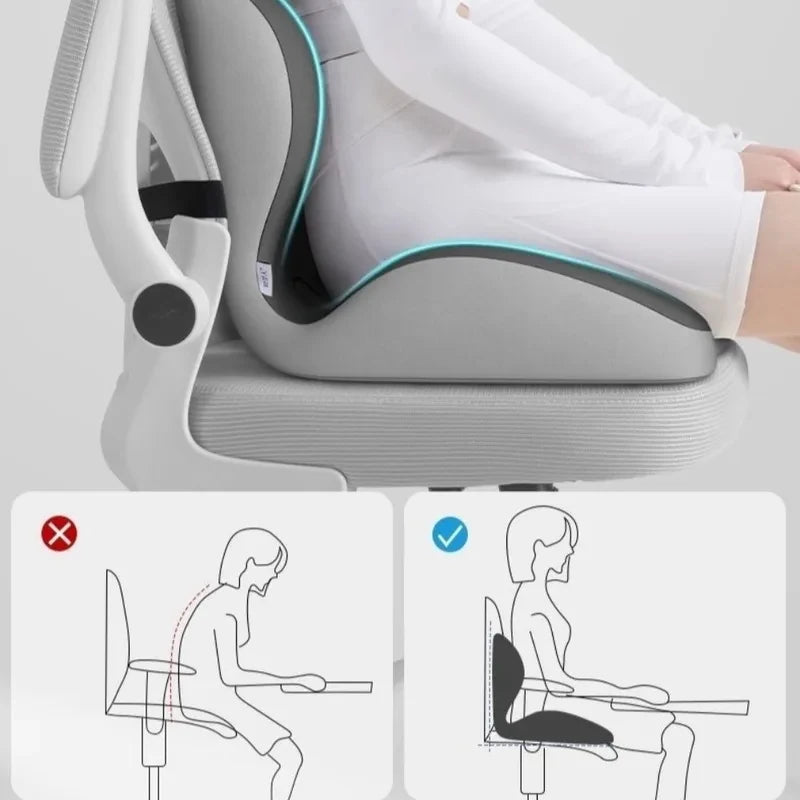 Ergonomisch Zitkussen met Lendensteun