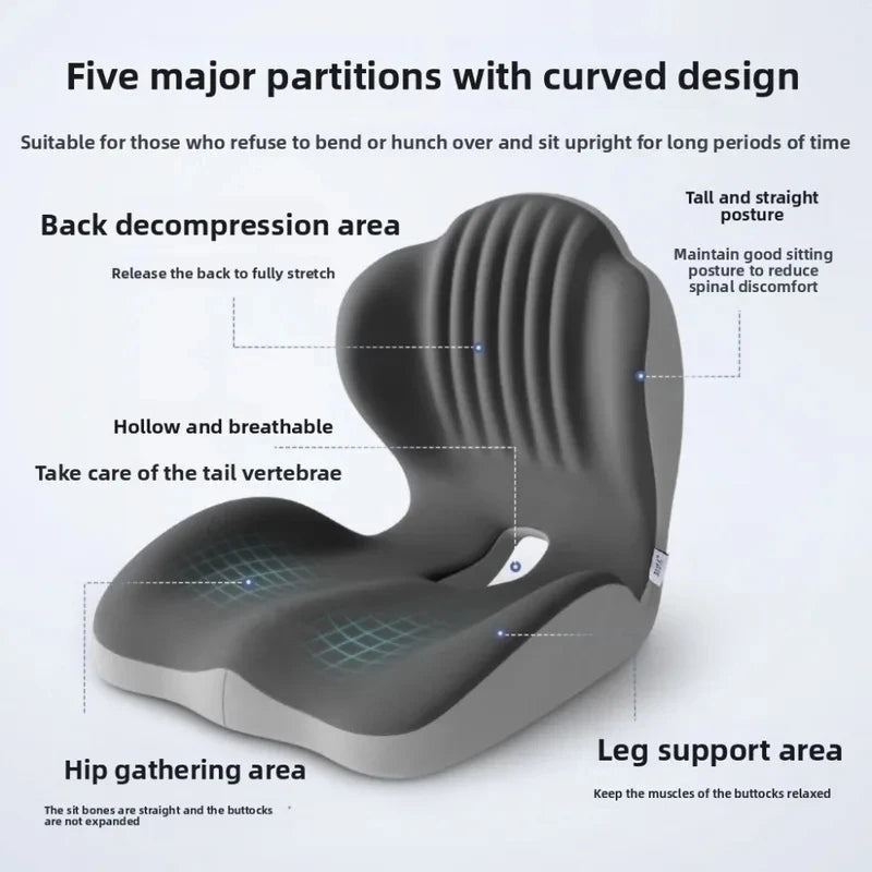 Ergonomisch Zitkussen met Lendensteun