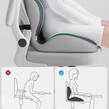Ergonomic Seat Cushion with Lumbar Support